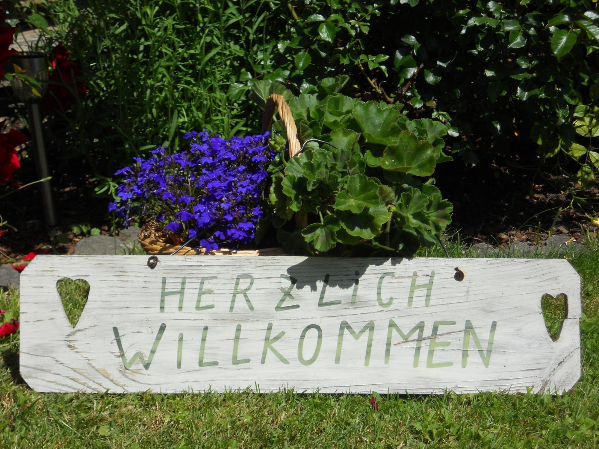 Pension Alte Muehle Gmund in Karnten Luaran gambar