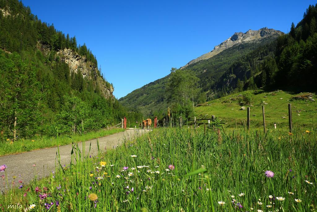 Pension Alte Muehle Gmund in Karnten Luaran gambar